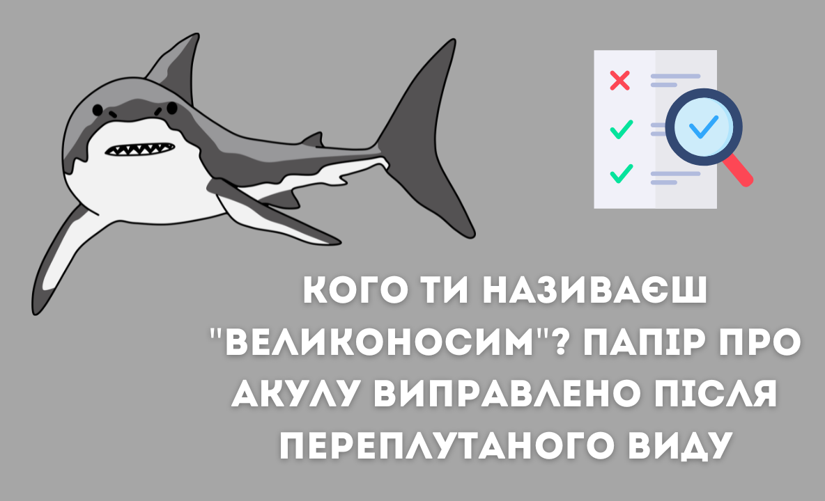 Японські дослідники були здивовані, дізнавшись, що вони є співавторами статей із північнокорейськими вченими