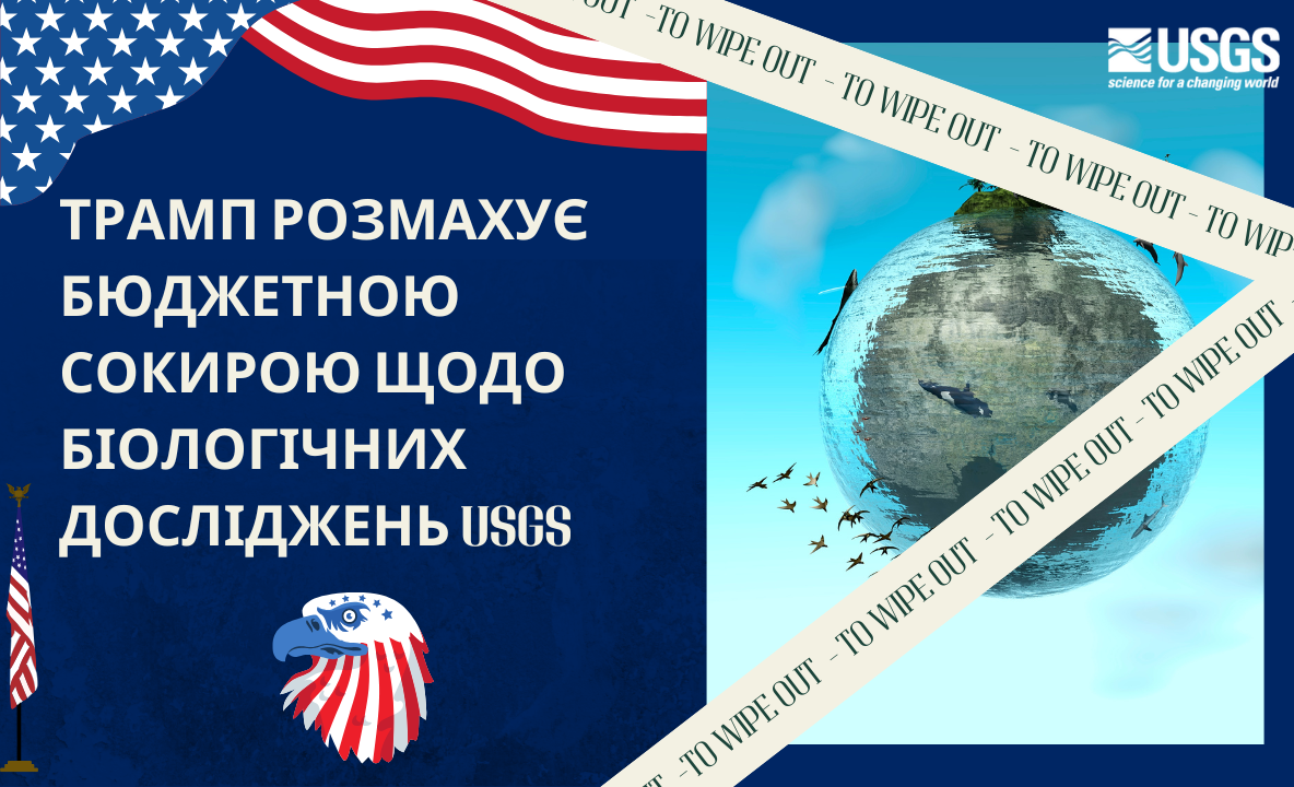 Японські дослідники були здивовані, дізнавшись, що вони є співавторами статей із північнокорейськими вченими